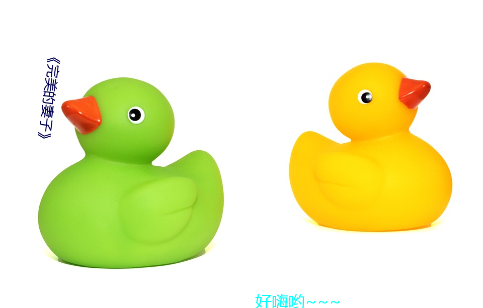 《完(wán)美的妻子》