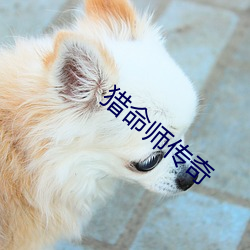 獵命師傳奇