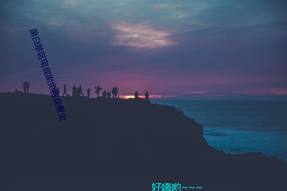 黑白禁区电视剧免费观看全