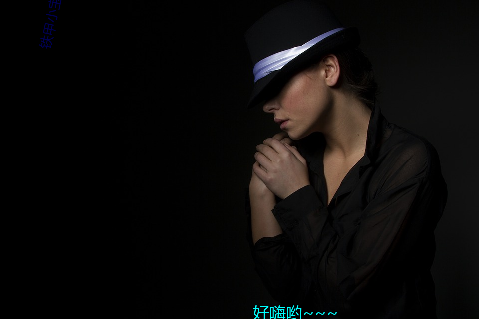 鐵甲小寶的女交警是不是下