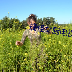搞怪女厨电视剧免费观看