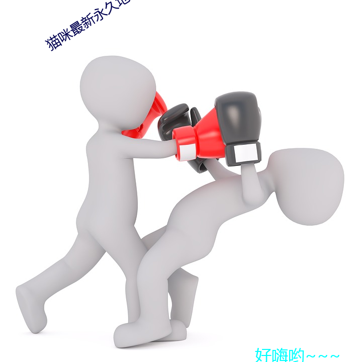 猫咪最新永久地域网名免费