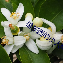 借东西的小人阿莉埃蒂在线