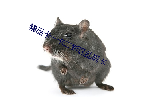 精品卡一(yī)卡二(èr)新区乱码卡