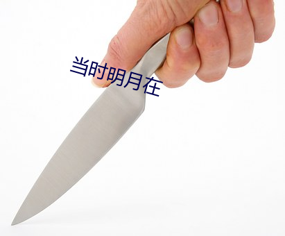 当时明月在