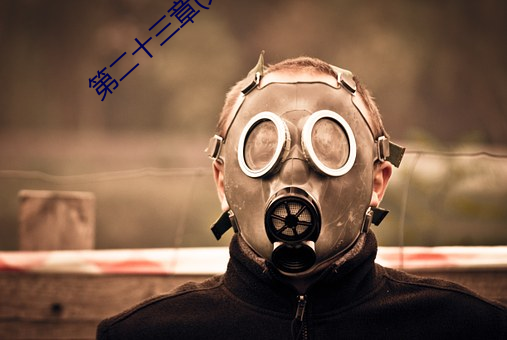 第二十三章(大结局)