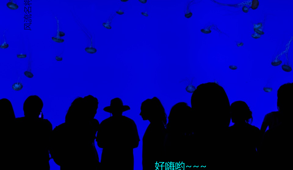 風流名將