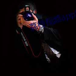 荔枝视频app男人最喜欢