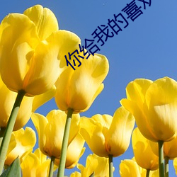 你给我的喜欢