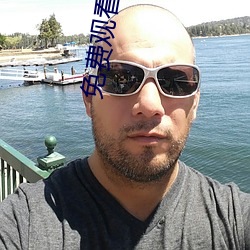 免费观看男人与狥交视频