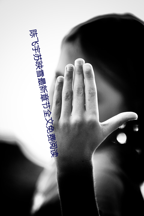 陈飞(飛)宇(宇)苏映(映)雪最(最)新章节(節)全文免费阅读