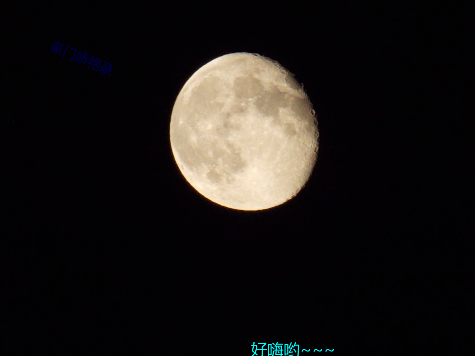 豪门娇艳录