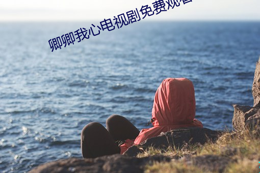 卿卿我心电视剧免费观看全