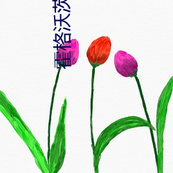 霍格沃茨之血(血)脉巫师