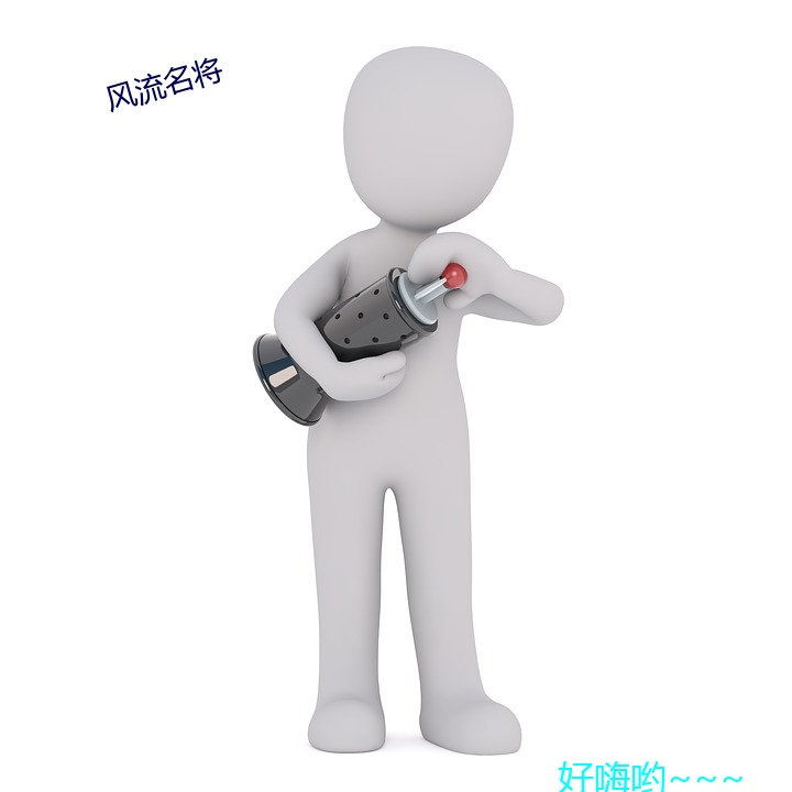 风流名将