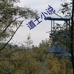 道士小说