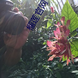 榴(liú)莲官(guān)网下app载(zài)旧版(bǎn)