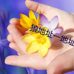 狼地址一(yī)地址二地(dì)址三