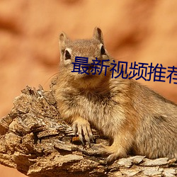 最新視頻推薦78m
