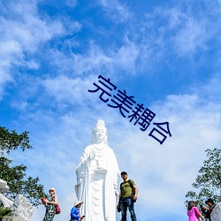 完美耦合