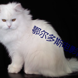 鄂尔多斯电影院