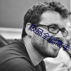 极(極)品全能高手