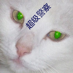 超级警察
