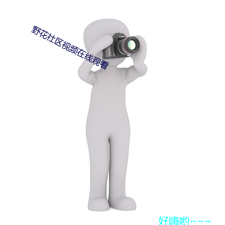 野花社区视频在线观看