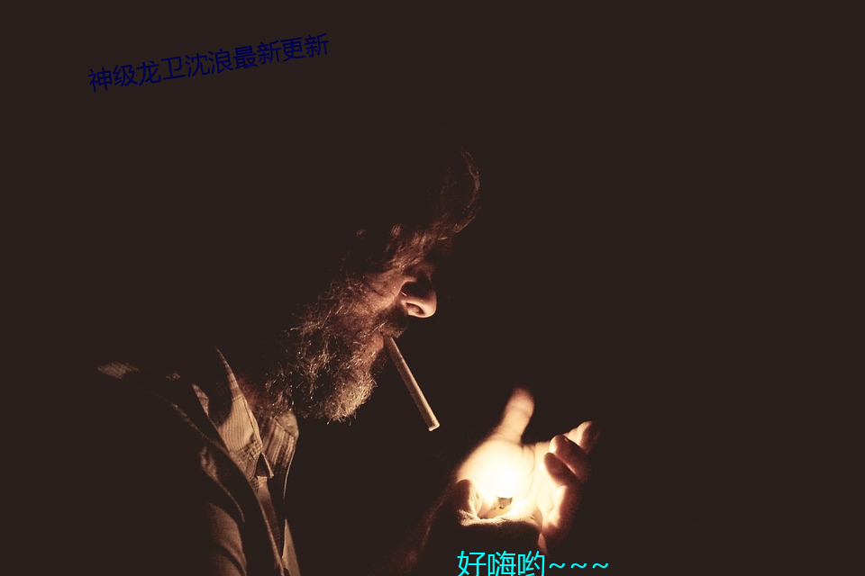 神级(jí)龙卫(wèi)沈浪最新更新