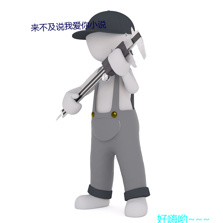 來不及說我愛你小說