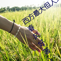 西方最(zuì)大但人文艺(yì)术137最(zuì)新章节(昨夜春(chūn)风好(hǎo)著(zhù))