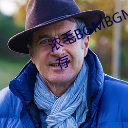 浓(nóng)毛bgmbgmbgm胖(pàng)老(lǎo)太太支持缓存