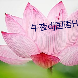午夜dj国语hd高清在线观