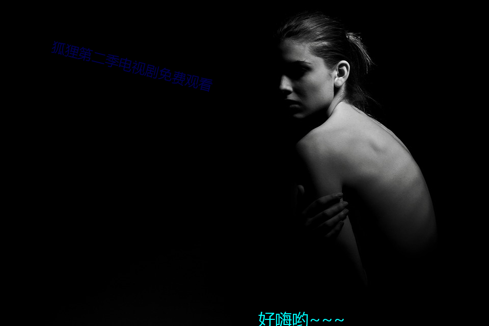 狐(狐)狸第二(二)季电视剧免费观看