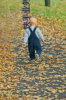 快手(手)业(業)务平(平)台