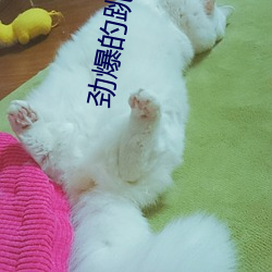 劲爆的跳舞平台