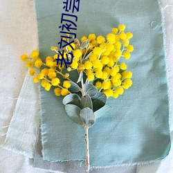 老劉初嘗蘇荷免費閱讀