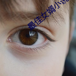最佳女婿小说 （卫戍）