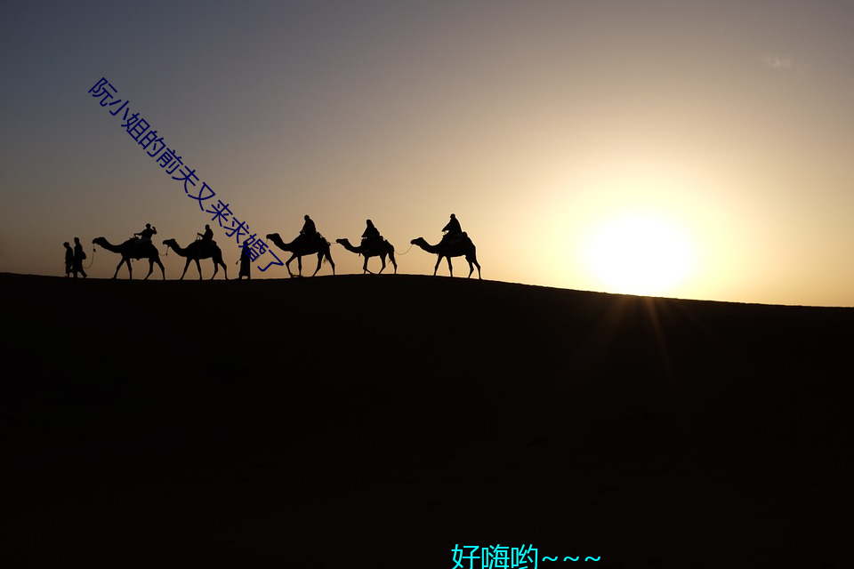 阮(ruǎn)小姐(jiě)的前夫又来求(qiú)婚了(le)