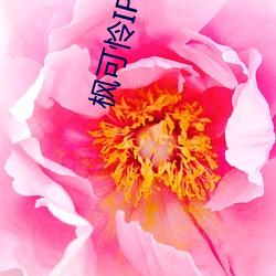枫可怜ipx
