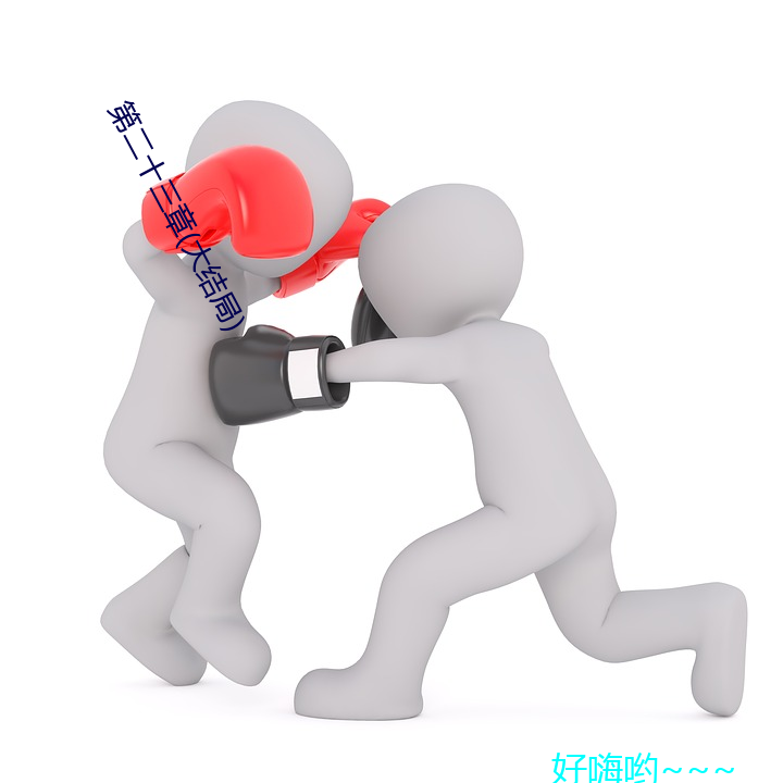 第(第)二十三章(大结局(局))